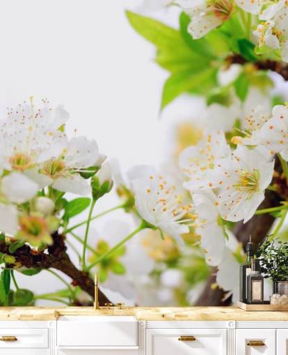 White Plum Blossom Branch Wallpaper White Plum Blossom Branch Wallpaper
