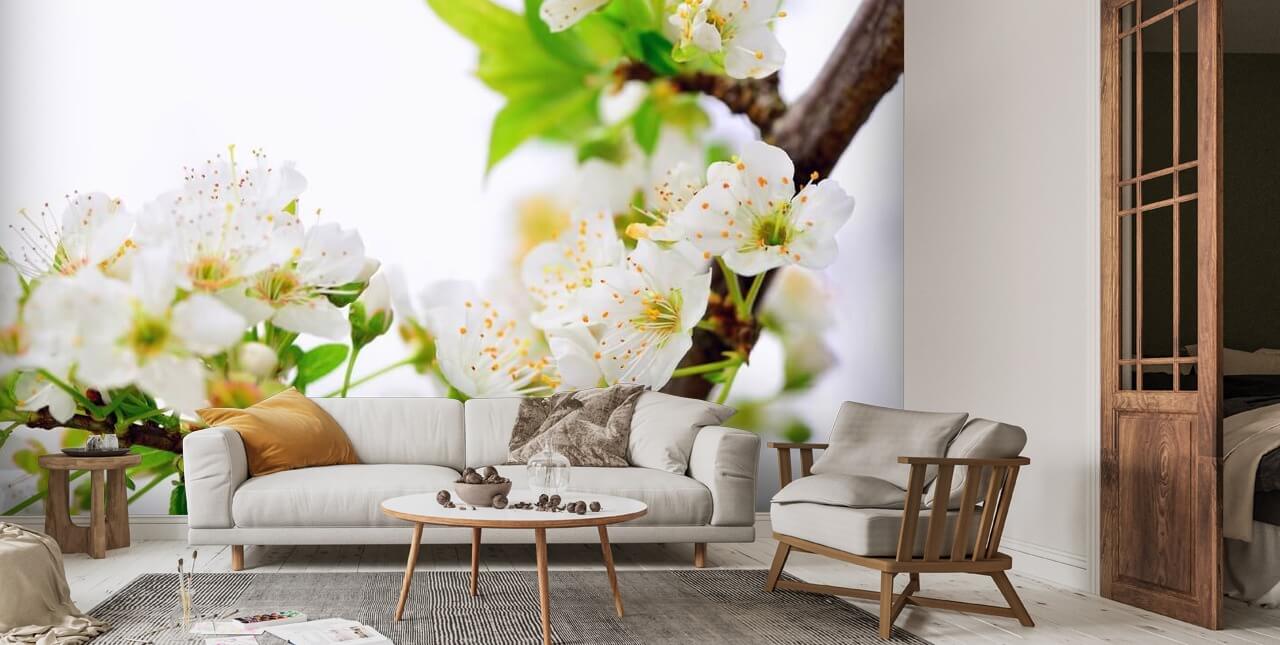 Plum Tree Flower Wallpaper | Wallsauce US