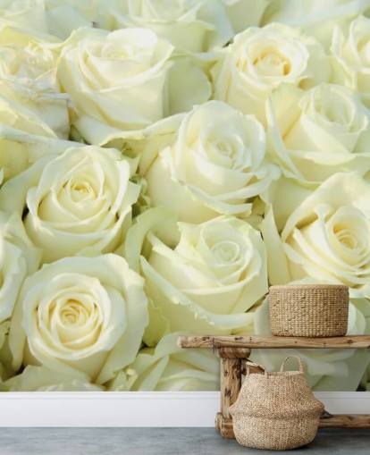 Papier peint White Roses Papier peint White Roses