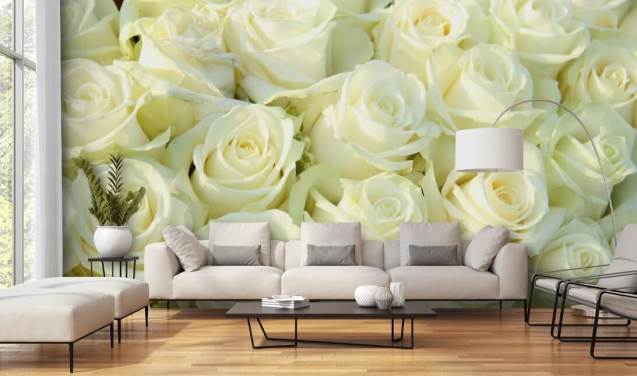 Papel de parede rosas brancas