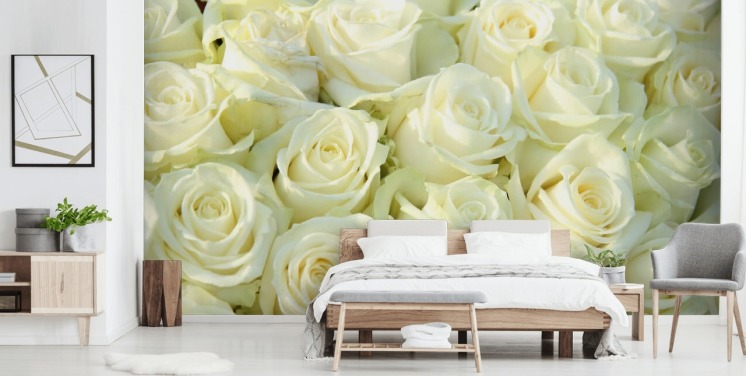 Carta da parati con rose