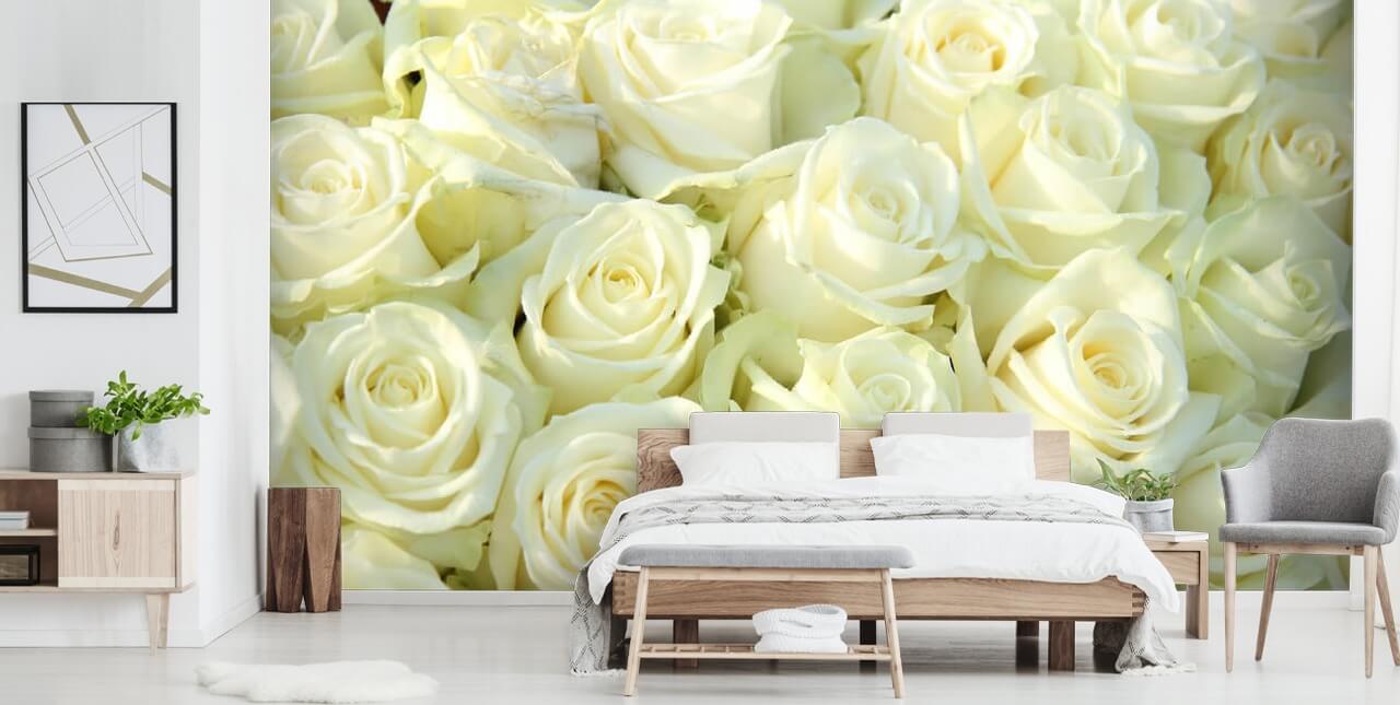 Papel de parede rosas brancas Papel de parede rosas brancas