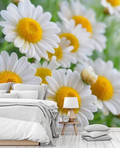 Daisy Close Up Wallpaper Daisy Close Up Wallpaper