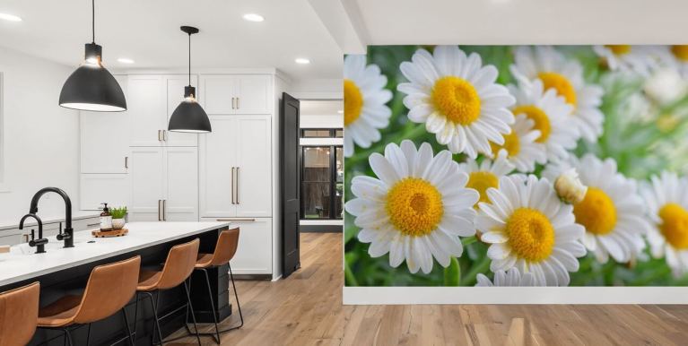 Daisy Blooms Wallpaper Wall Mural by Magic Murals