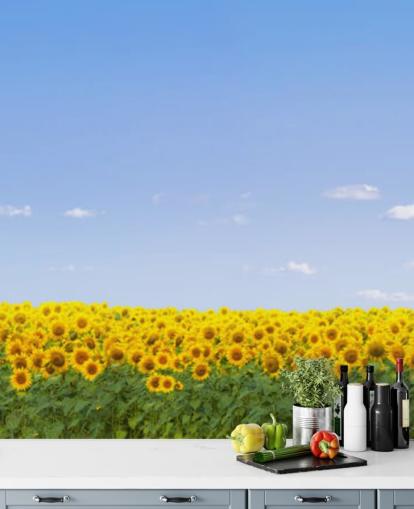 Zonnebloem veld behang Zonnebloem veld behang