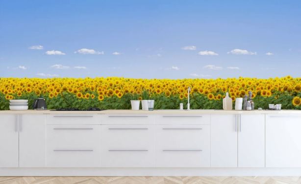 Sunflower Field Wallpaper