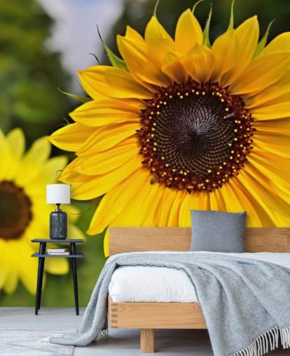 Sunflower Friends Wall Mural Sunflower Friends Wall Mural