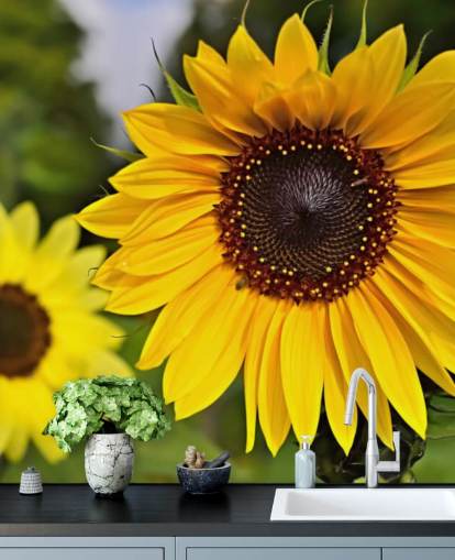 Sunflower Friends Wall Mural Sunflower Friends Wall Mural