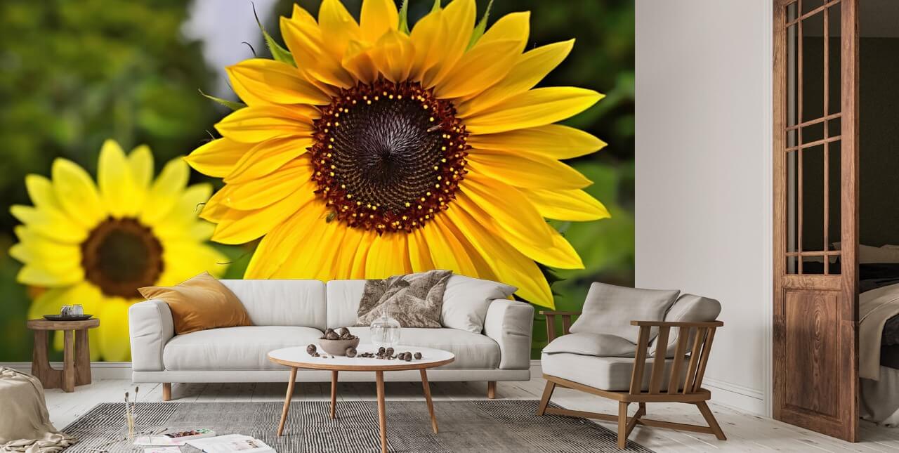 Sunflower wall deals