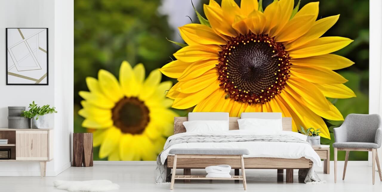 Sunflower Friends Wall Mural Sunflower Friends Wall Mural