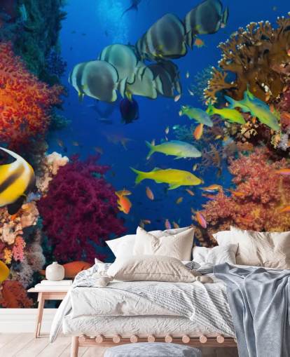 Colourful Coral and Fish Wallpaper Colourful Coral and Fish Wallpaper