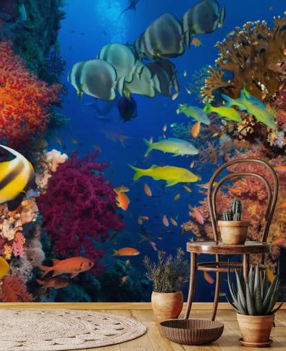 Coral and Fish Fish Wallpaper Coral and Fish Fish Wallpaper