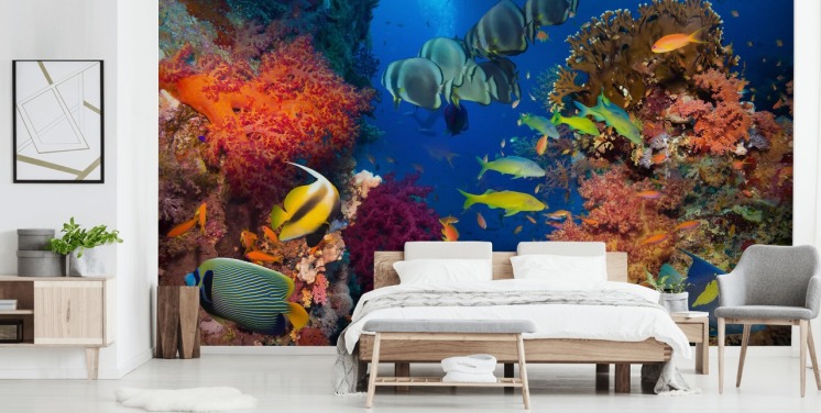 Papel de parede colorido de coral e peixe