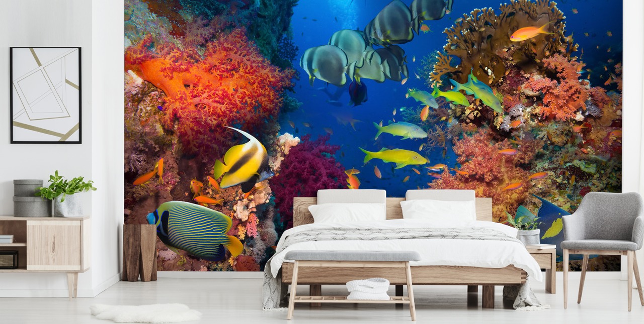 Papel de parede colorido de coral e peixe