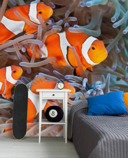 Peixe-palhaço laranja e branco em coral Peixe-palhaço laranja e branco em coral