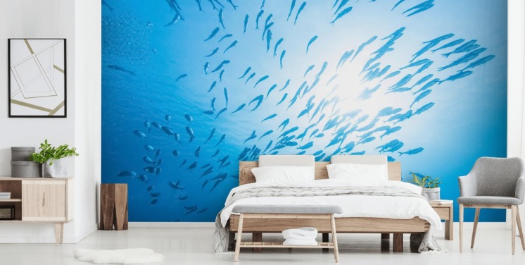 Carta da parati Fish School