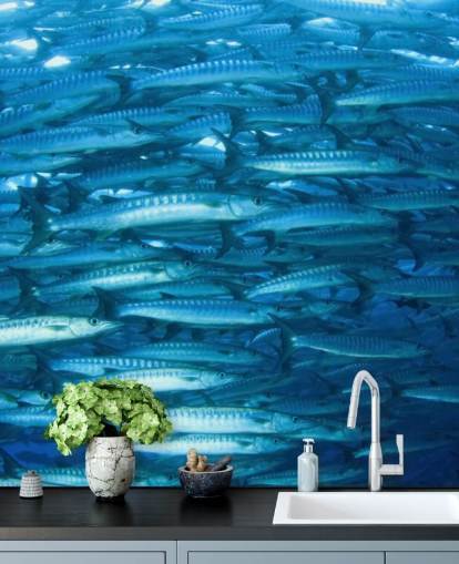 Skinnende Fish Gruppe Bakgrunn Skinnende Fish Gruppe Bakgrunn