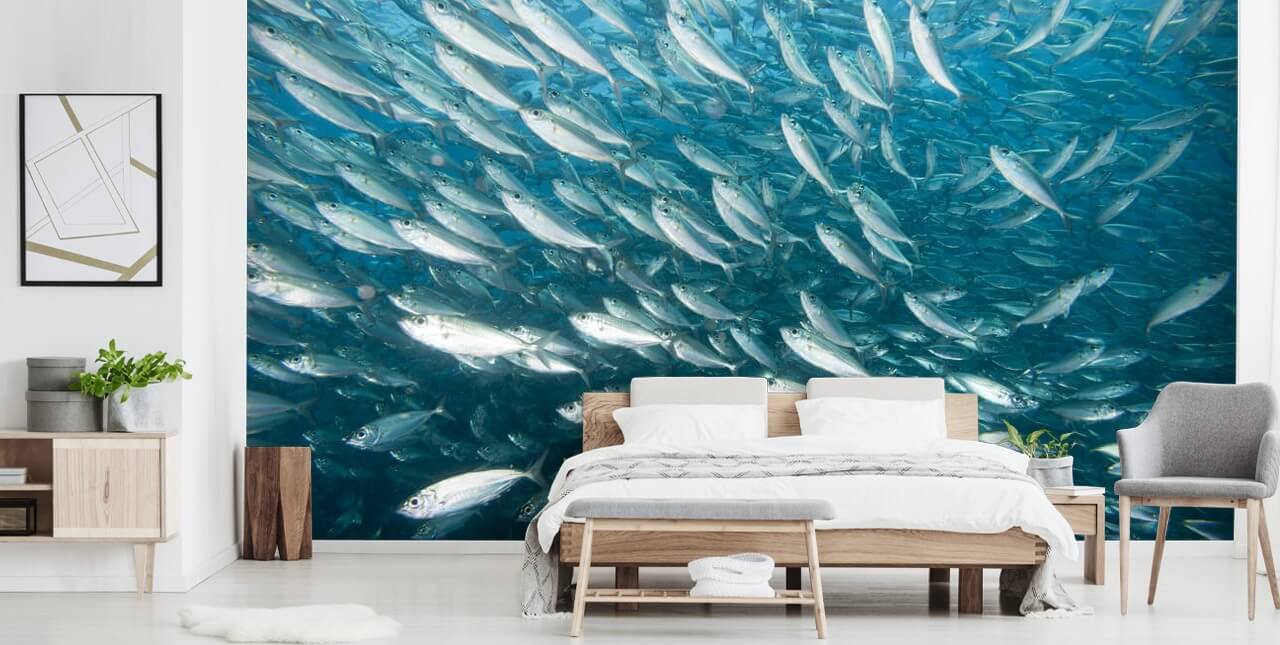 Skole av grå fisk tapet Skole av grå fisk tapet