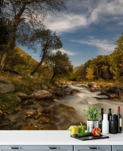 Mountain River Wall Mural Mountain River Wall Mural