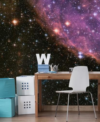 Supernova Remnant E0102 Wallpaper Mural Supernova Remnant E0102 Wallpaper Mural