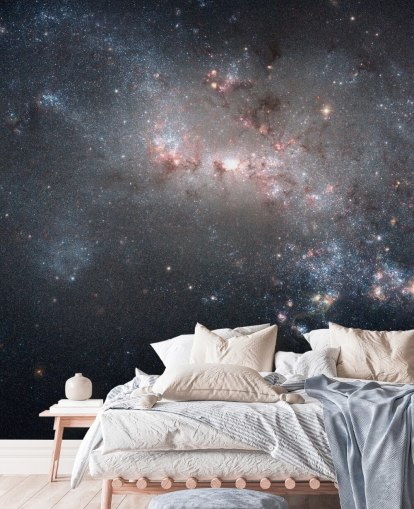 Stellar Fireworks Ablaze in Galaxy NGC4449 Mural Stellar Fireworks Ablaze in Galaxy NGC4449 Mural