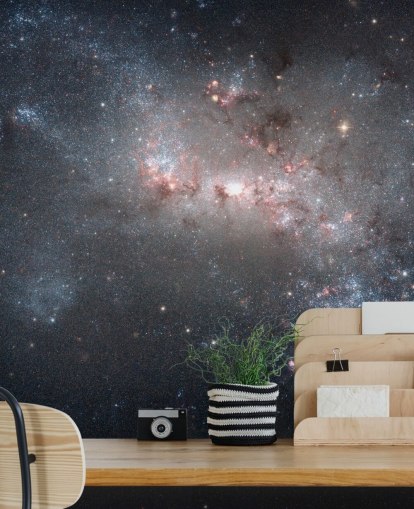 Stellar Fireworks Ablaze in Galaxy NGC4449 Mural Stellar Fireworks Ablaze in Galaxy NGC4449 Mural