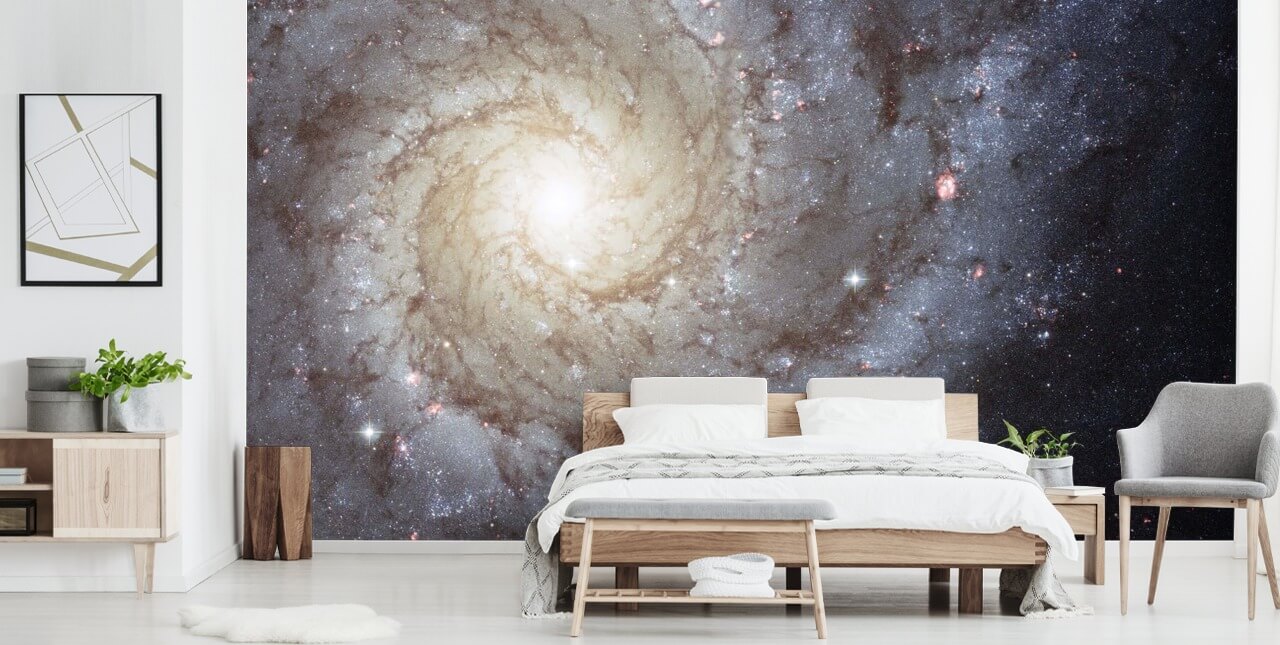 Spiral Galaxy M74 Mural Wallpapers