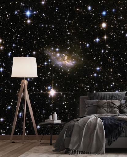 Hubble Interacting Galaxy ESO 99-4 Mural Hubble Interacting Galaxy ESO 99-4 Mural