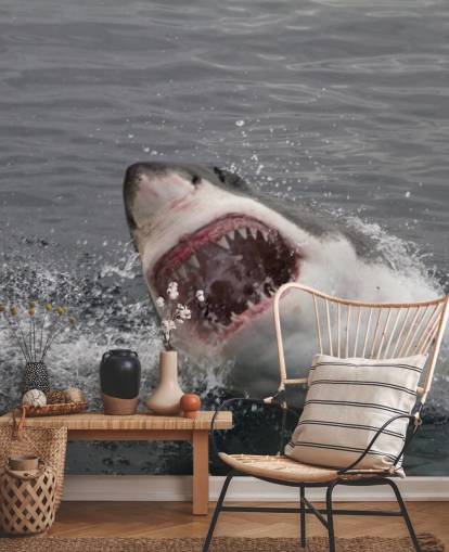 Angry Shark Wallpaper Angry Shark Wallpaper