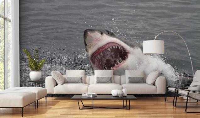 Angry Shark Taustakuva