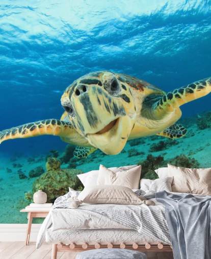 Papel de parede bonito da tartaruga Papel de parede bonito da tartaruga