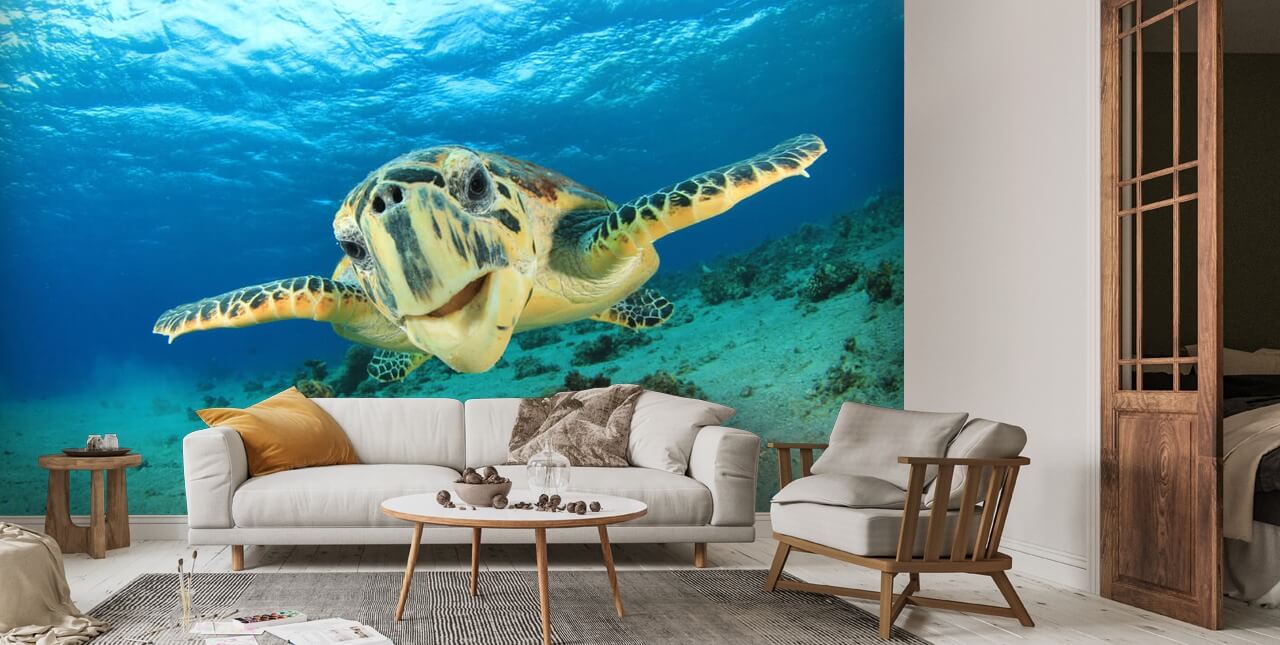 Hawksbill Sea Turtle Wallpaper | Wallsauce US