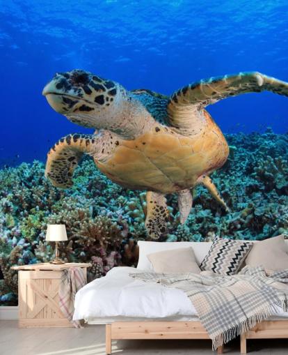 Svømning Turtle Baggrund Svømning Turtle Baggrund