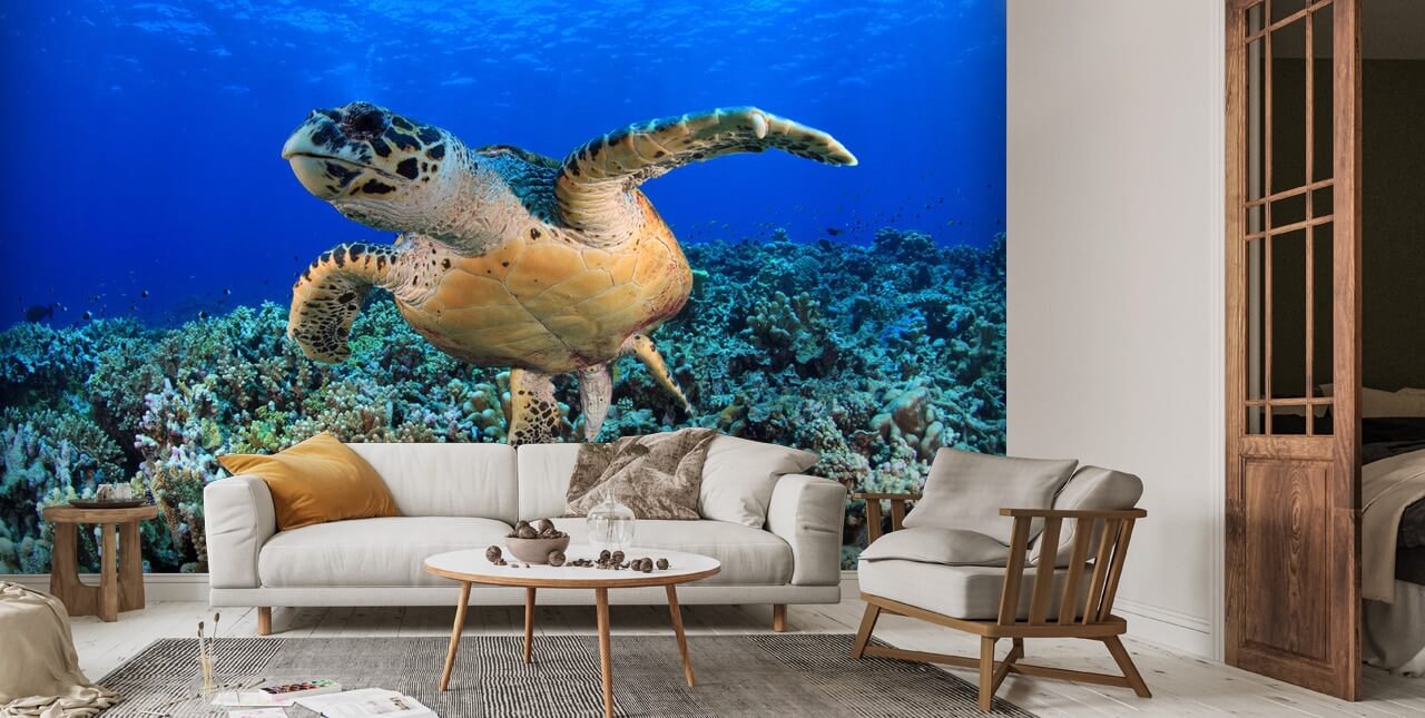 Papier peint tortue de mer dans les eaux tropicales