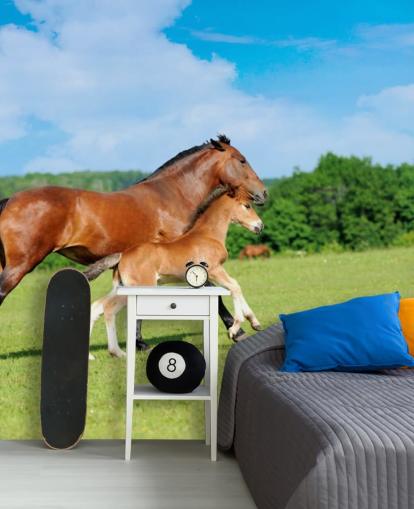 Horse and Foal Running in Field Wallpaper Horse and Foal Running in Field Wallpaper