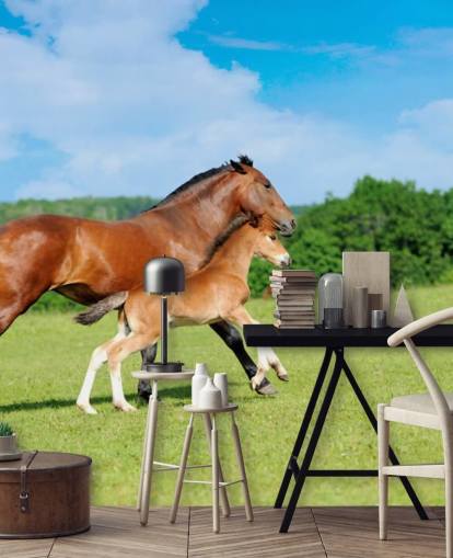 Paard en veulen lopen in veld behang Paard en veulen lopen in veld behang