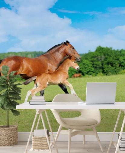 Fondo de pantalla de caballo y potro corriendo en el campo Fondo de pantalla de caballo y potro corriendo en el campo
