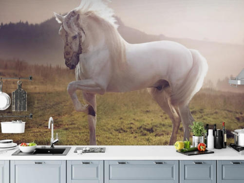 Real Princess Horse in a Fairytale Wallpaper