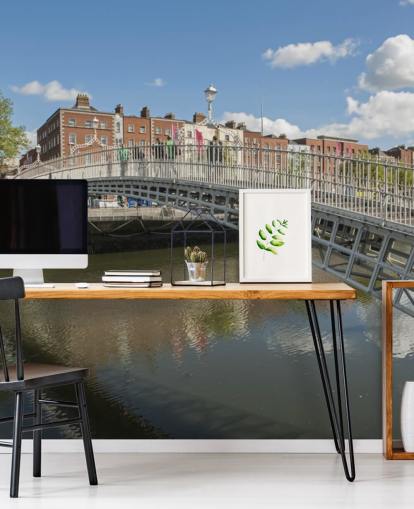 Hapenny Bridge in Dublin Ireland Wall Mural Hapenny Bridge in Dublin Ireland Wall Mural