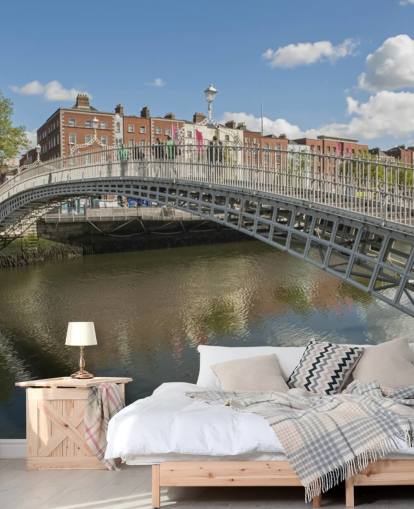 Hapenny Bridge in Dublin Ireland Wall Mural Hapenny Bridge in Dublin Ireland Wall Mural