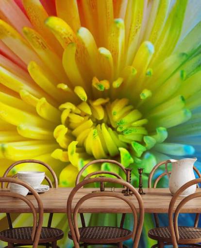 Rainbow Flower Bakgrunn Mural Rainbow Flower Bakgrunn Mural