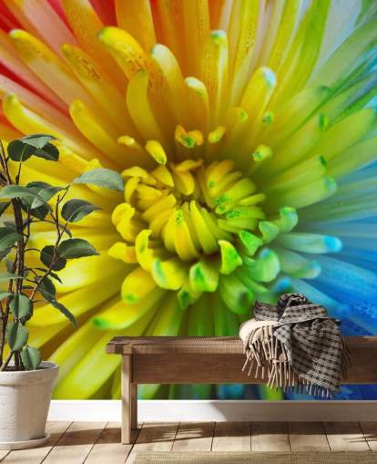 Rainbow kukka Taustakuva Seinämaalaus Rainbow kukka Taustakuva Seinämaalaus