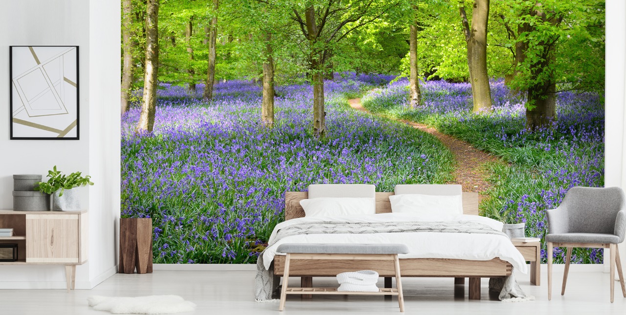 sininen ja vihreä metsätaustakuvamaalaus nimeltä Bluebell Woodland makuuhuoneisiin tai ruokasaleihin
