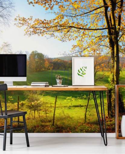 carta da parati murale con foresta verde e arancione chiamata Autumn Pathways per cucine, uffici e aziende carta da parati murale con foresta verde e arancione chiamata Autumn Pathways per cucine, uffici e aziende