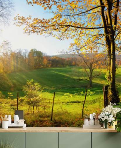 carta da parati murale con foresta verde e arancione chiamata Autumn Pathways per cucine, uffici e aziende carta da parati murale con foresta verde e arancione chiamata Autumn Pathways per cucine, uffici e aziende