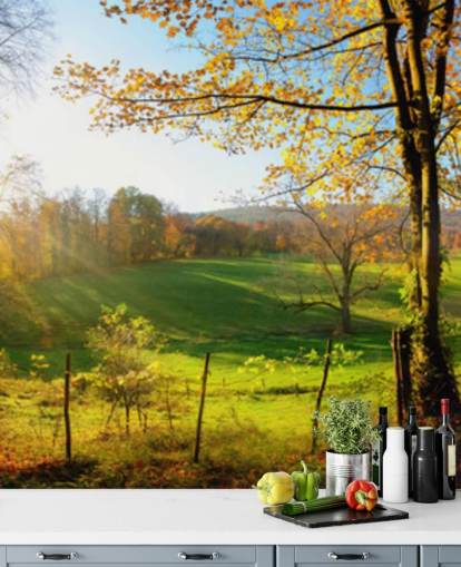 green and orange forest wallpaper mural called Autumn Pathways for kitchens, offices and businesses green and orange forest wallpaper mural called Autumn Pathways for kitchens, offices and businesses