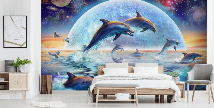 Dolphin Space Himmel Bakgrunn