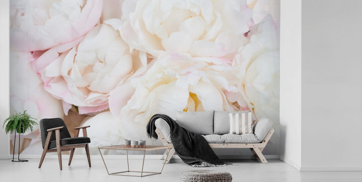 lyserødt og hvidt blomstertapet vægmaleri kaldet Peony Clouds til soveværelser, stuer og badeværelser
