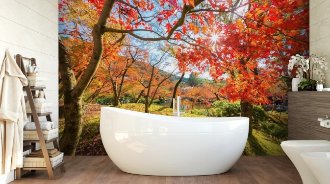 Autumn Scene with Red Trees Leaf Wallpaper
