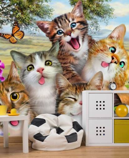 Cute and Funny Cat Selfie Wallpaper Cute and Funny Cat Selfie Wallpaper
